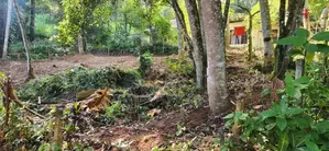 9 Perch Bare Land for Sale in Pilimathalawa