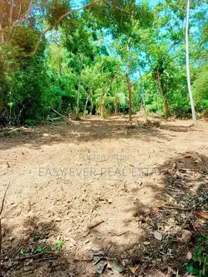 බෙලිඅත්ත – තංගල්ල ප්‍රධාන මාර්ගයට ආසන්නයෙන් බිම්කොටසක් - DU 13122