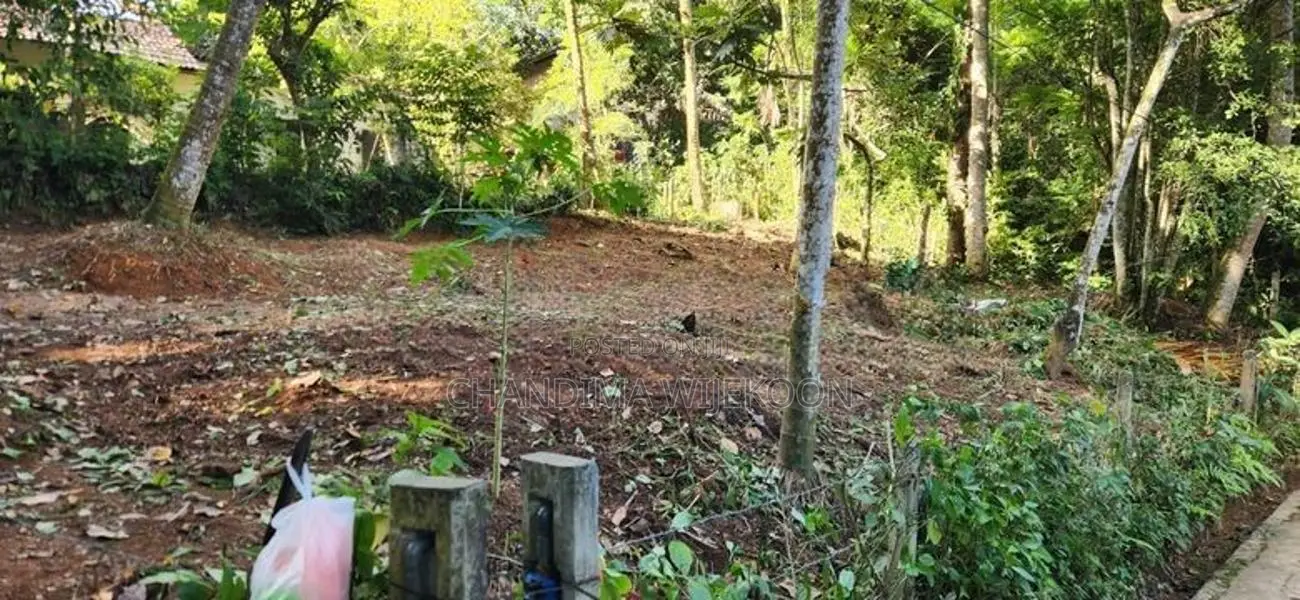 9 Perch Bare Land for Sale in Pilimathalawa
