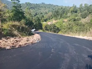 Land for Sale in Nillamba