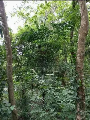 ​prime 114 Perch Scenic Land for Sale – Ampitiya