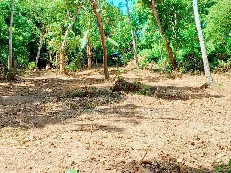 බෙලිඅත්ත – තංගල්ල ප්‍රධාන මාර්ගයට ආසන්නයෙන් බිම්කොටසක් - DU 13122