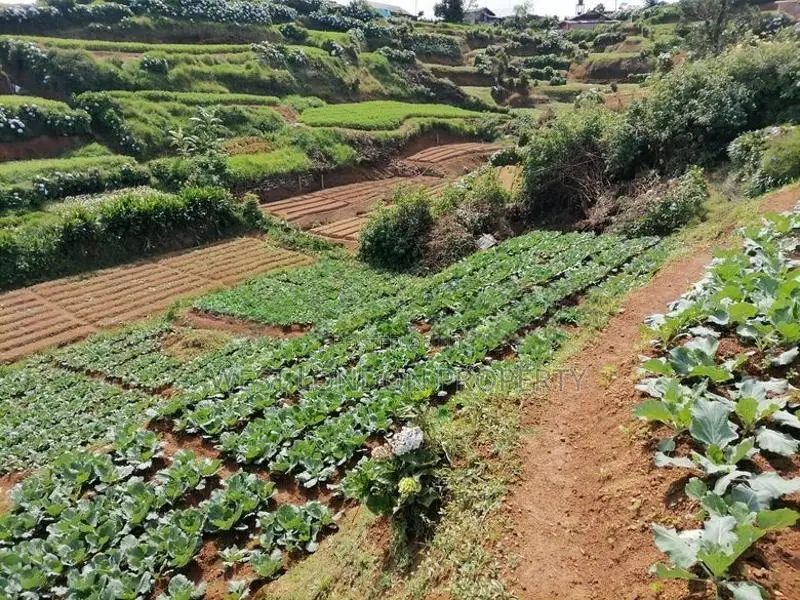 Nuwara Eliya House with Land for Sale