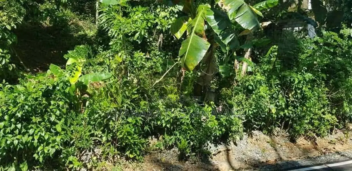 Land for Sale කඩුගන්නාව