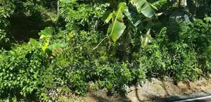 Land for Sale කඩුගන්නාව