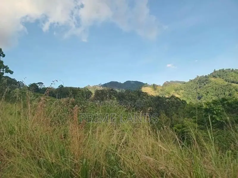 Land for Sale Galaha