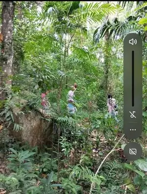 ​prime 114 Perch Scenic Land for Sale – Ampitiya