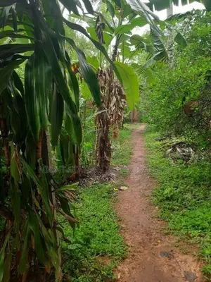 House for Sale in Mirigama – Excellent Residential Location Near Highw