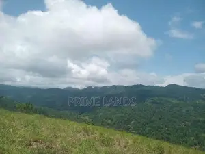 Land for Sale Nillamba