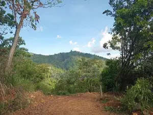 Land for Sale Galaha