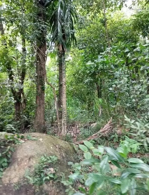 ​prime 114 Perch Scenic Land for Sale – Ampitiya