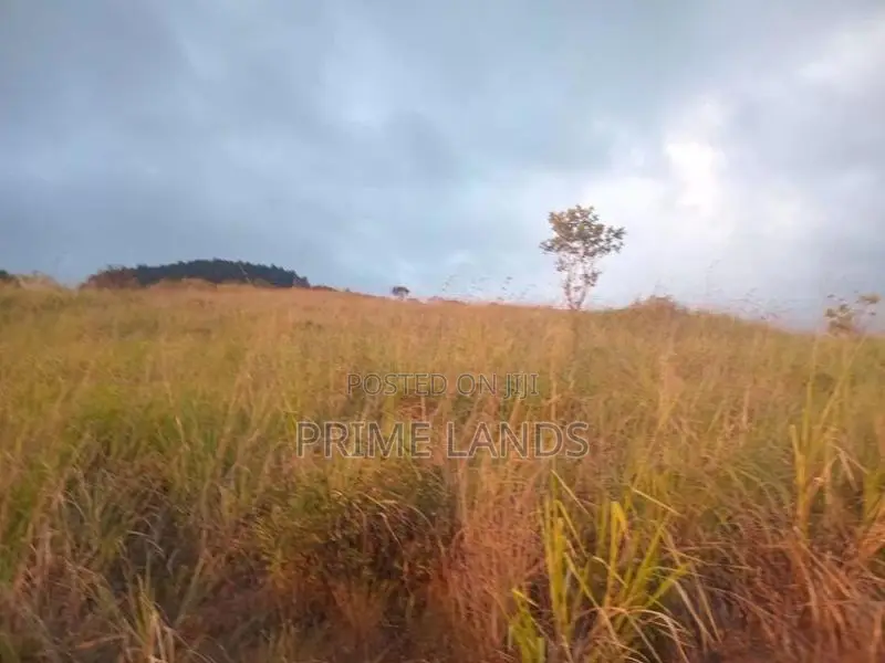 Land for Sale Nillamba