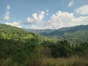 Land for Sale Galaha
