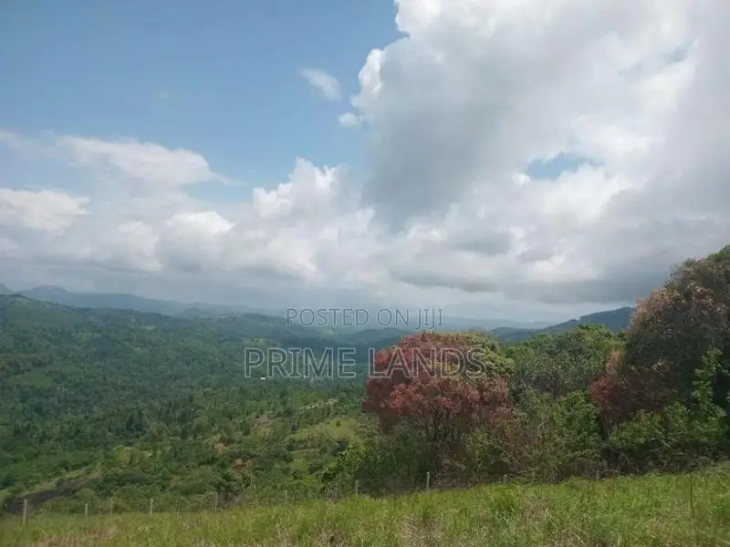 Land for Sale Nillamba