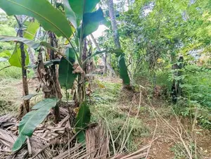මීරිගම වරකාපොළ ප්‍රධාන පාරට මුහුණලා ඉඩමක් - DU 13174