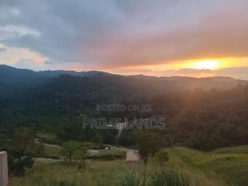 Land for Sale Nillamba