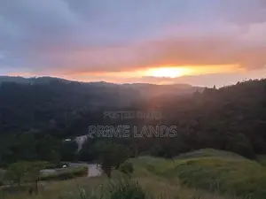 Land for Sale Nillamba