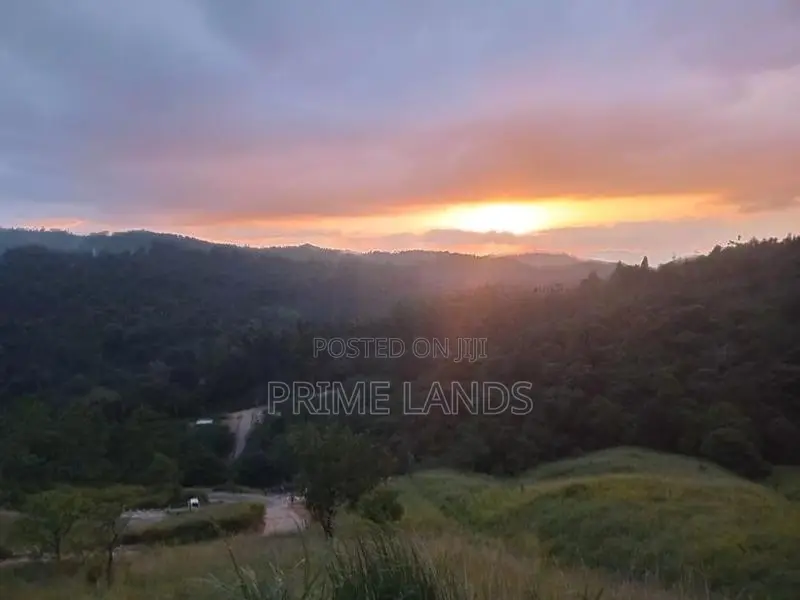 Land for Sale Nillamba
