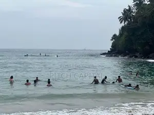 සංචාරකයන්ට හොදම තැන මිදිගමින්