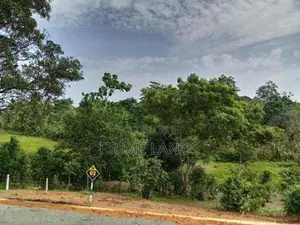 අම්බලන්ගොඩ නගර සභා සීමාවෙන් බිම් කොටස් කිහිපයක්