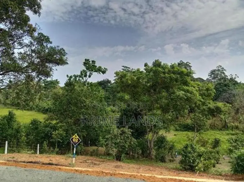 අම්බලන්ගොඩ නගර සභා සීමාවෙන් බිම් කොටස් කිහිපයක්