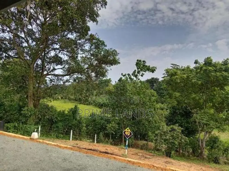 අම්බලන්ගොඩ නගර සභා සීමාවෙන් බිම් කොටස් කිහිපයක්