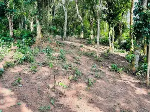 ඉඩමක් විකිනීමට නුවර