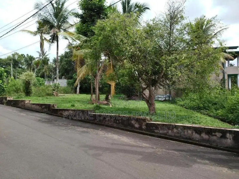 මාලඹේ නෙවිල් ප්‍රනාන්දු රෝහලට ආසන්නව බිම් කොටස් විකිණීමට