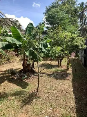 18 Perch Land for Sale in Pannipitiya