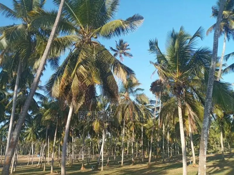 සියලු අනුමැතියන් සහිත බිම් කොටස් නාරම්මල