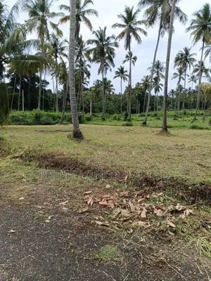 නාරම්මල ඉඩමක්