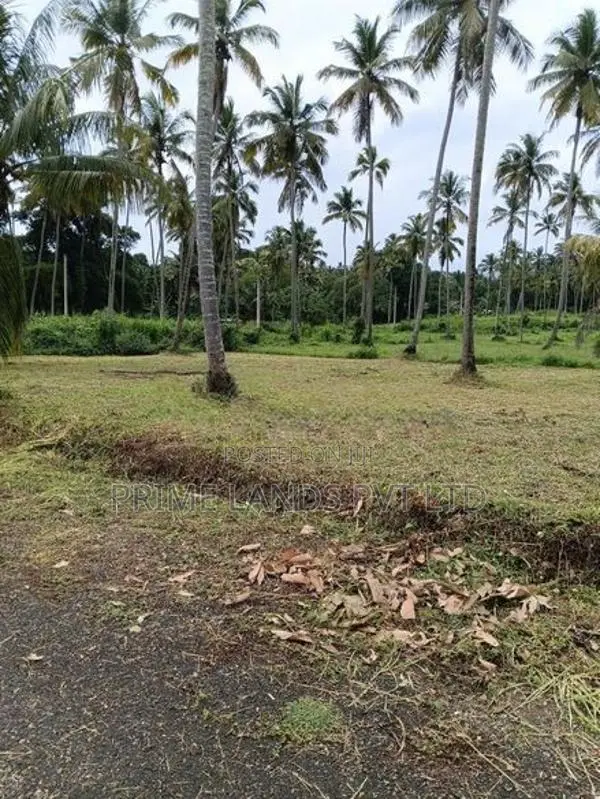 නාරම්මල ඉඩමක්