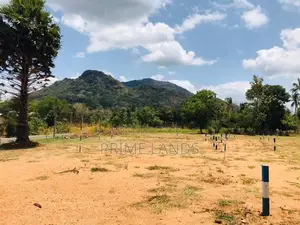 දඹූල්ල මාතලේ පාරෙන් බිම් කොටස්