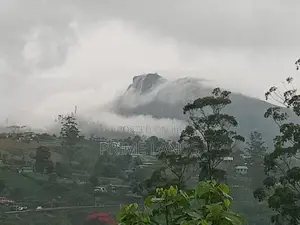 Forest View Point Land for Sale Nuwara Eliya