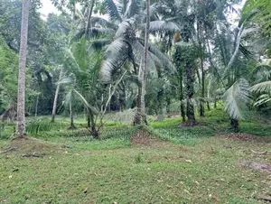 Land Sale in Ahugammana, Delgoda