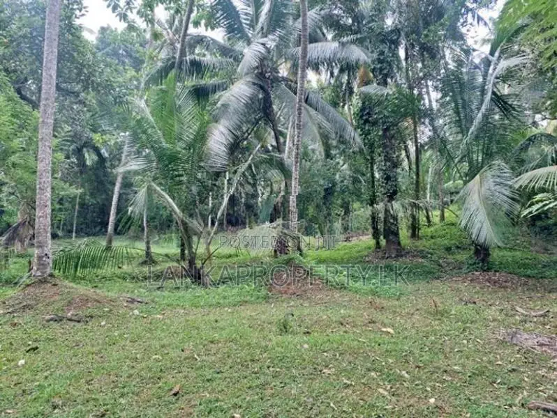 Land Sale in Ahugammana, Delgoda