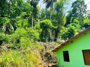Land for Sale Nuwara Eliya Road, Atabage, Gampola
