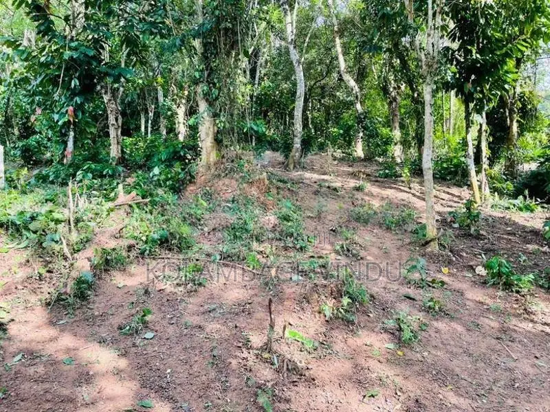 ඉඩමක් විකිනීමට නුවර