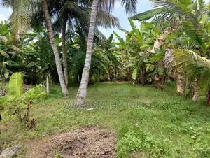 Land for Sale Borelesgamuwa