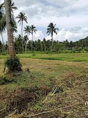නාරම්මල ඉඩමක්
