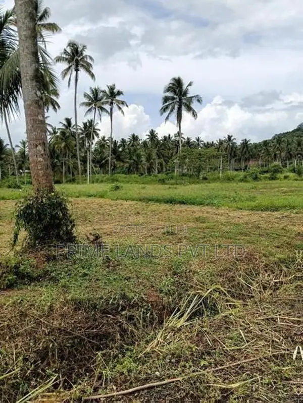නාරම්මල ඉඩමක්