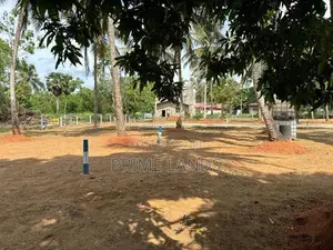 අනුරාධපුර සාලියමාවතෙන් සින්නක්කර බිම්කොටසක් විකිණීමට