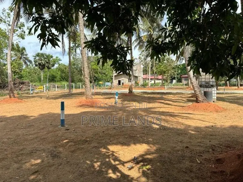 අනුරාධපුර සාලියමාවතෙන් සින්නක්කර බිම්කොටසක් විකිණීමට