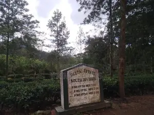 Forest View Point Land for Sale Nuwara Eliya