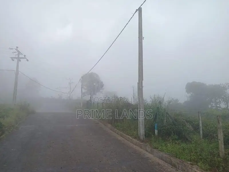 Land for Sale Nuwara Eliya Road