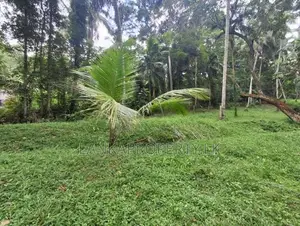 Land Sale in Ahugammana, Delgoda