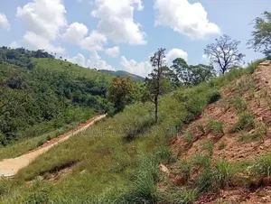 Beautiful Land Sale in Delthota
