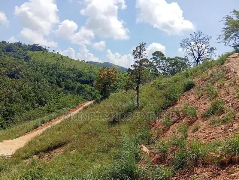 Beautiful Land Sale in Delthota