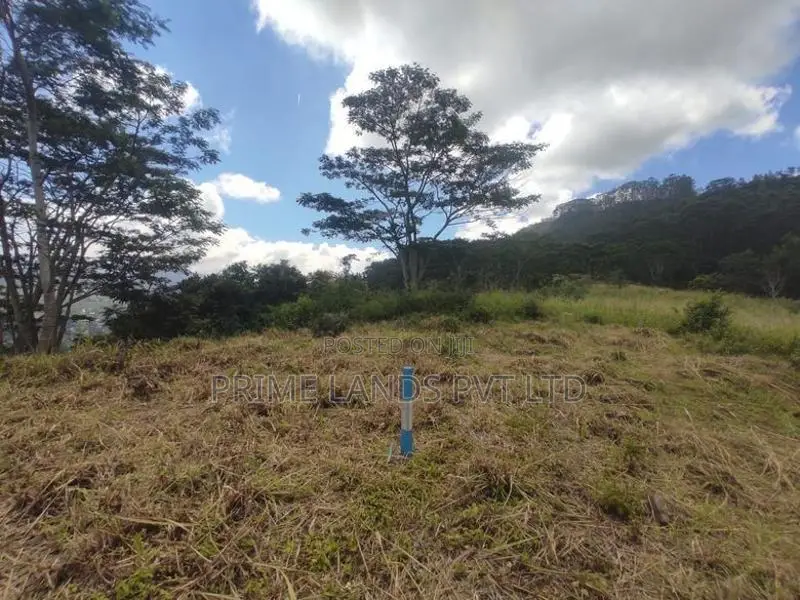 Beautiful Land Sale in Pussalawa