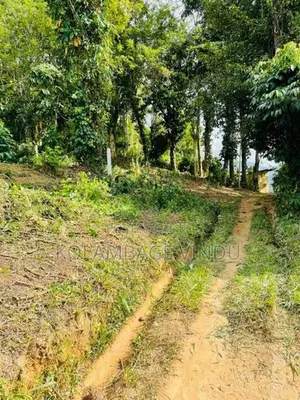 ඉඩමක් විකිනීමට නුවර